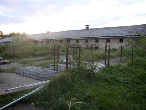 kep_146.jpg