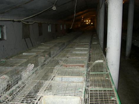 kep_148.jpg